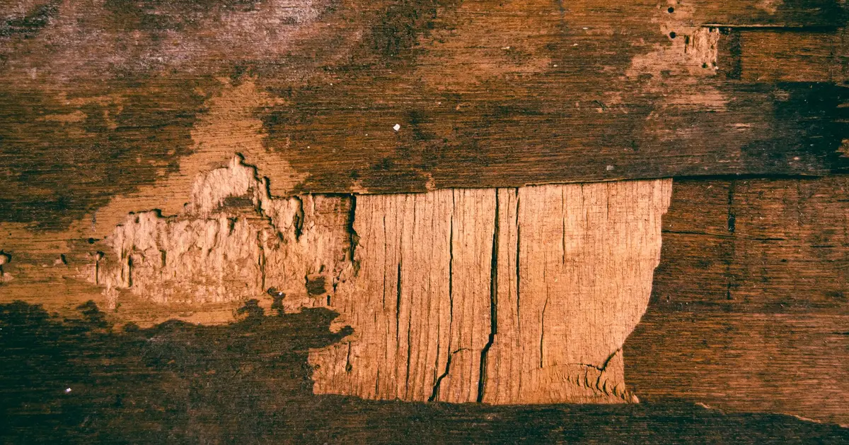 Close view of a weathered plywood surface with chipped patches where the surface layer has worn away